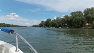 DSCN3638