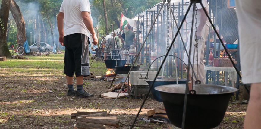 Csege Napok 2014