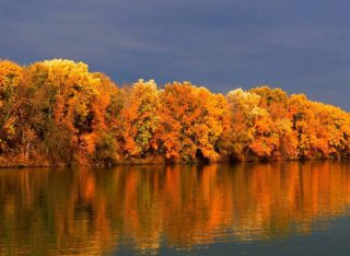 A Tisza ősszel