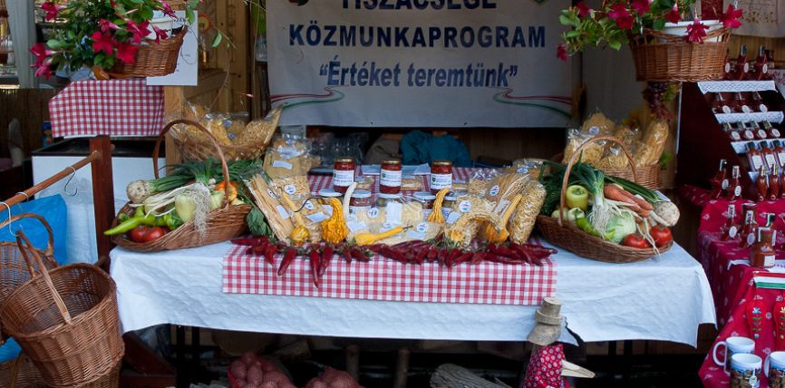 V. Közfoglalkoztatási Kiállítás Budapest, Vajdahunyad vára