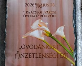 Kollégánk elismerése