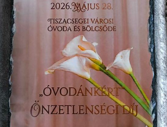 Kollégánk elismerése
