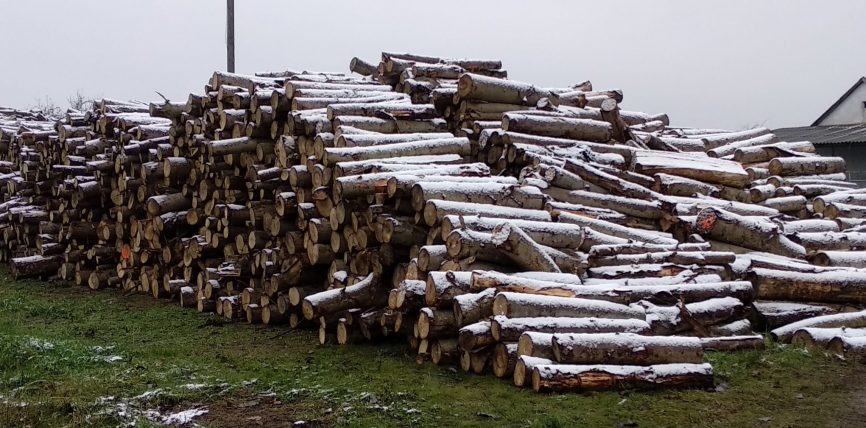 A szociális tűzifa kiosztása a mai napon (2020. december 8.) szünetel