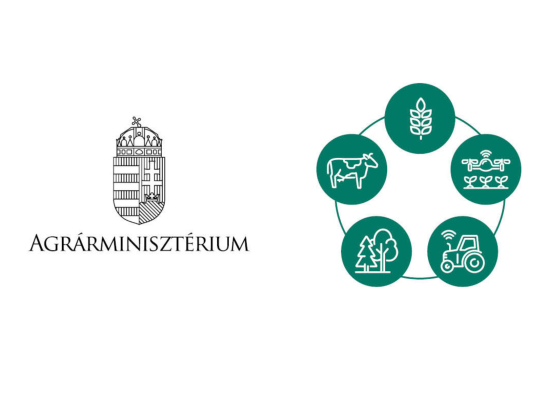 Hirdetmény közzétételével történő értékesítés 