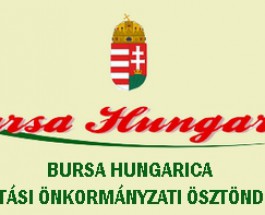 A Bursa Hungarica Felsőoktatási Önkormányzati Ösztöndíjrendszer