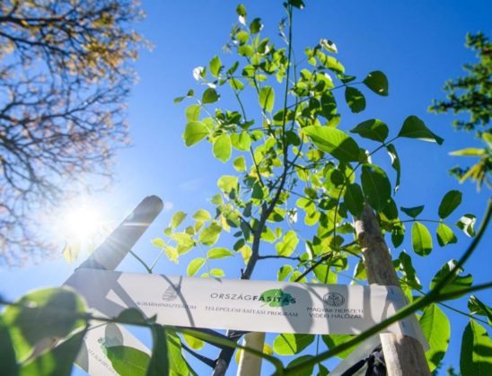 Országos Településfásítási Program