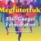 Együtt a célban – közös siker a Csegei Félmaratonon!
