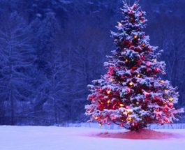 Kellemes ünnepeket kíván Tiszacsege Város Önkormányzata