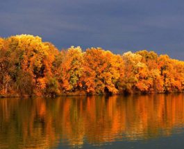 A Tisza ősszel
