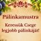 Pálinkamustra – Keressük Csege legjobb pálinkáját!