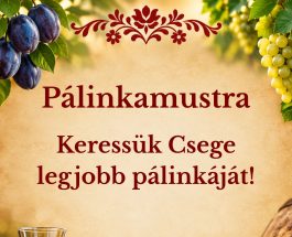Pálinkamustra – Keressük Csege legjobb pálinkáját!