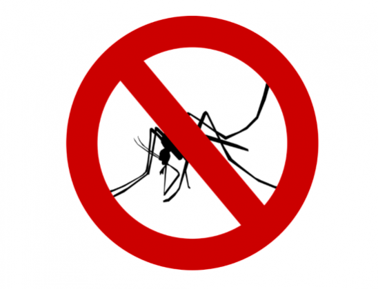 Tájékoztatás földi szúnyoggyérítésről – 2022. augusztus 17.