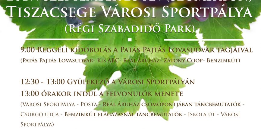 Szüreti felvonulás, bál, Népzenei és Néptánc találkozó